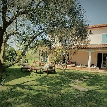 House Nono Bepo In Small Istrian Village 펜션