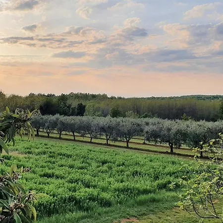 House Nono Bepo In Small Istrian Village *