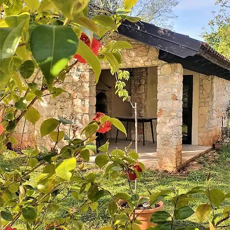 House Nono Bepo In Small Istrian Village *