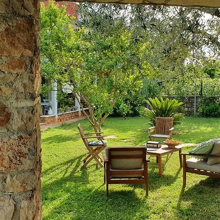 House Nono Bepo In Small Istrian Village 펜션