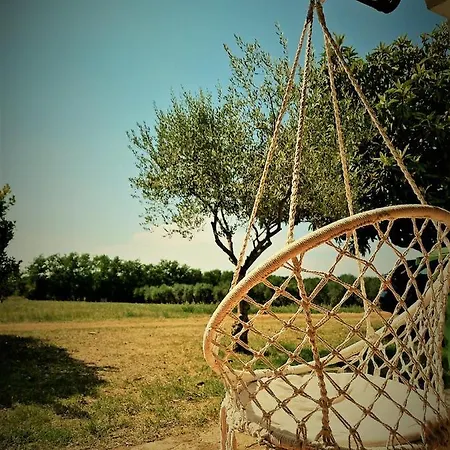 House Nono Bepo In Small Istrian Village Casa de Férias Brtonigla